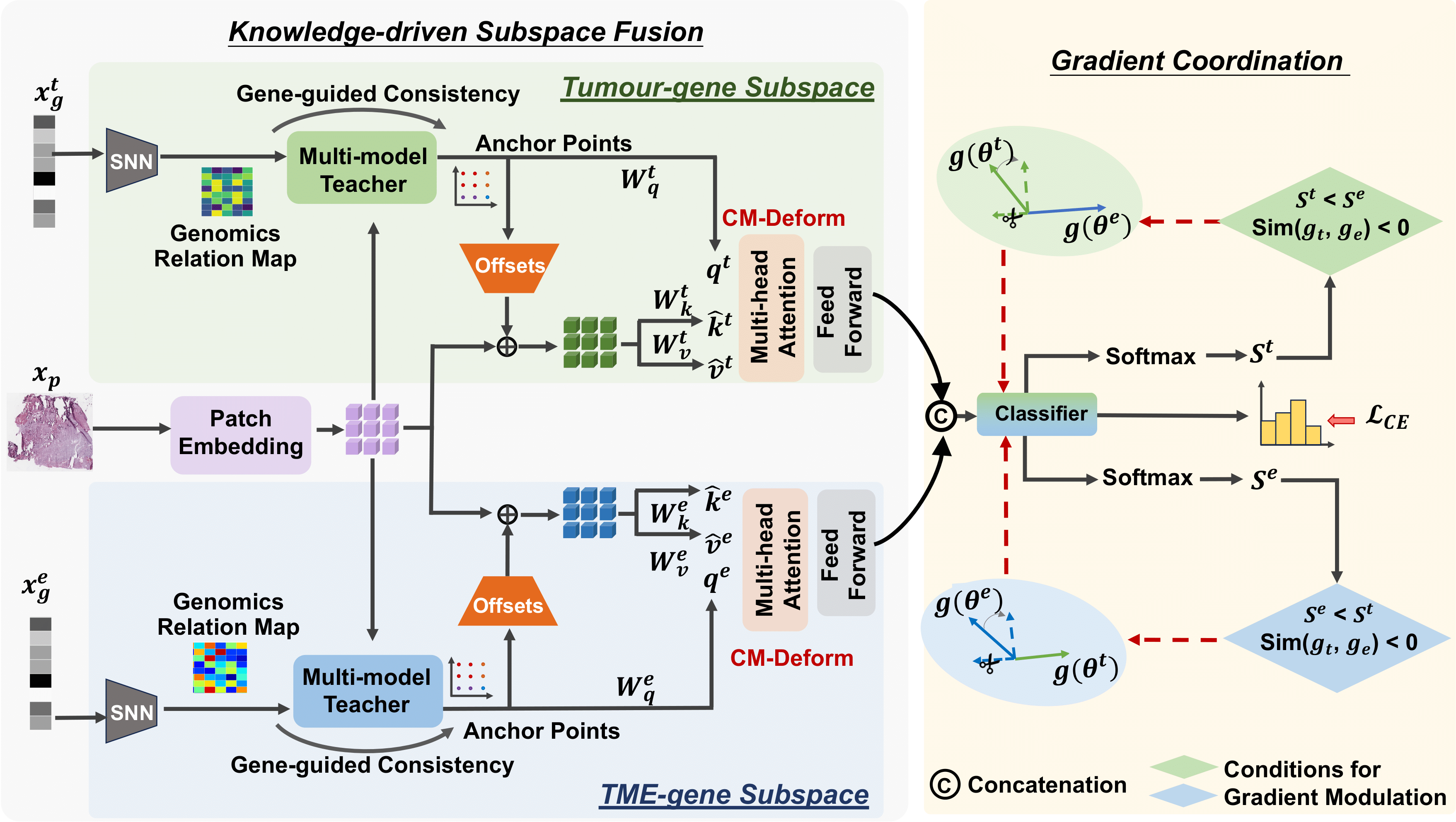 Knowledge-driven Subspace Fusion and Gradient Coordination for Multi-modal Learning