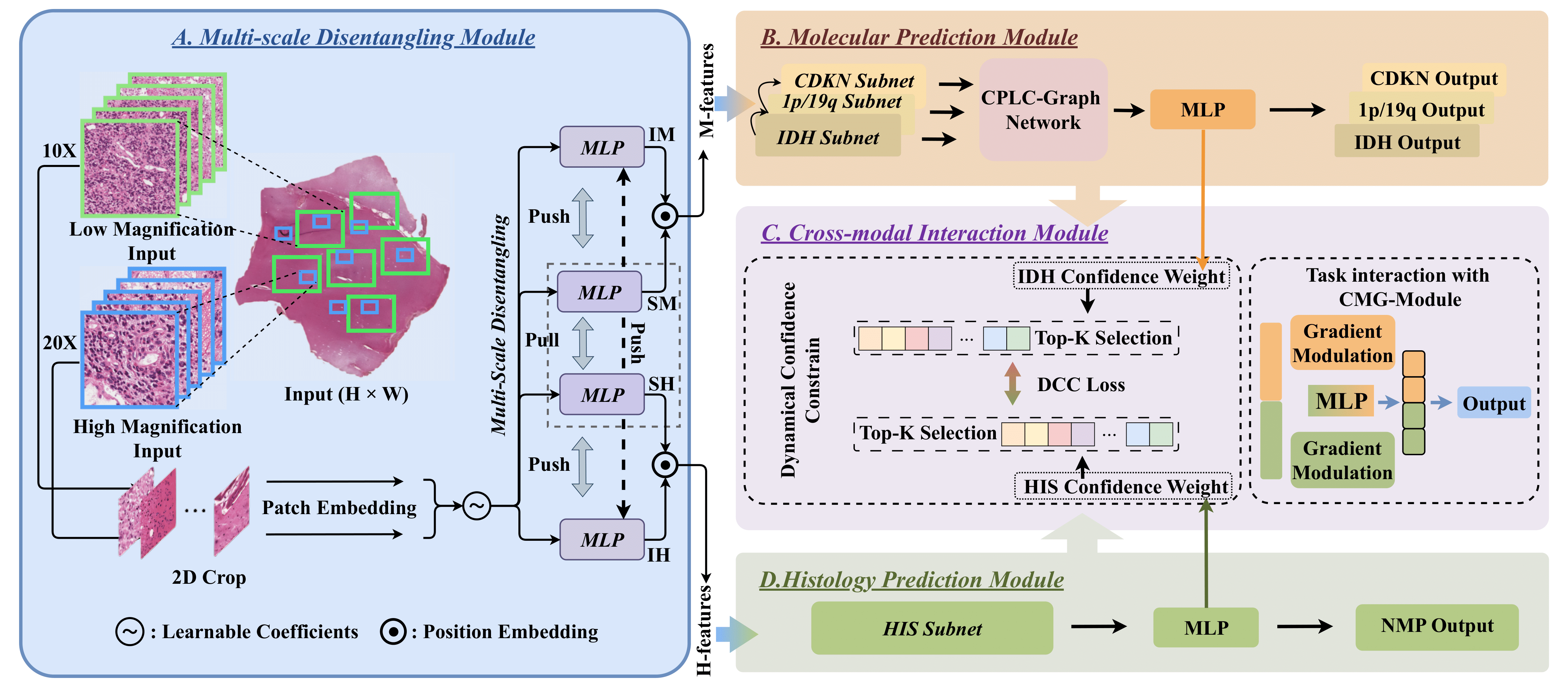Joint Modeling Histology and Molecular Markers for Cancer Classification