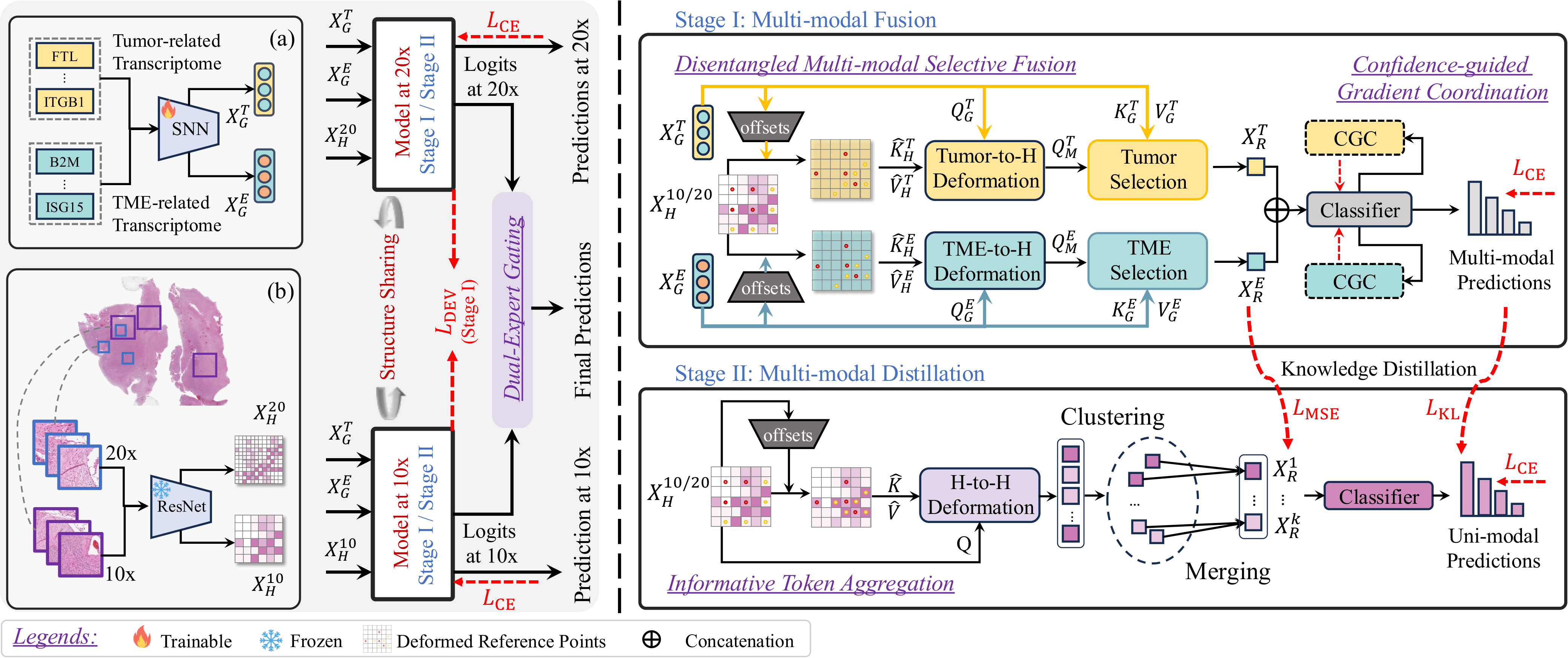 Disentangled Multi-modal Learning of Histology and Transcriptomics for Cancer Characterization